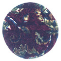 Carpet Disc 33